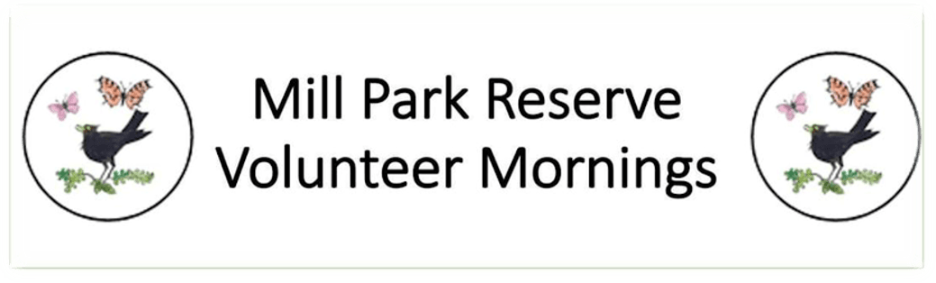 mill park volunteer mornings