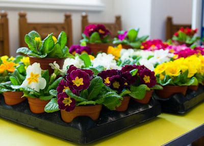 Long Buckby Baptist Church - Mothering Sunday