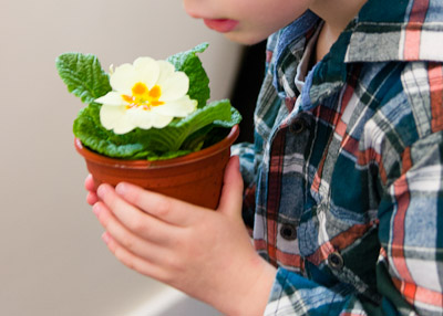Mothering Sunday 2012